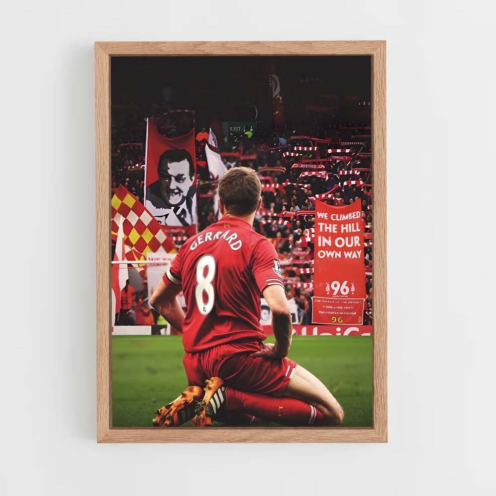 ap-steven gerrard-3 cadre Bois clair