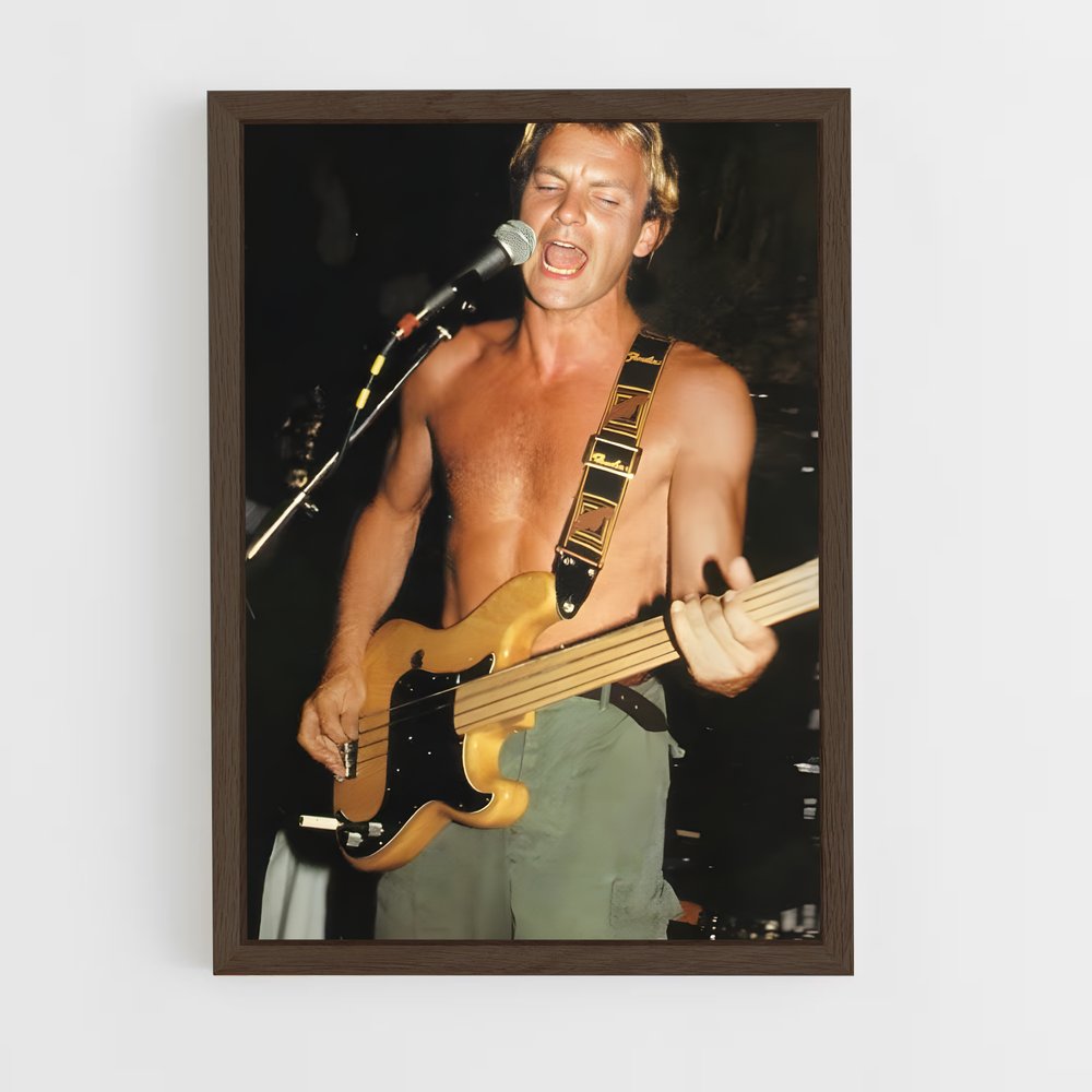 ap-sting-4 cadre Bois foncé