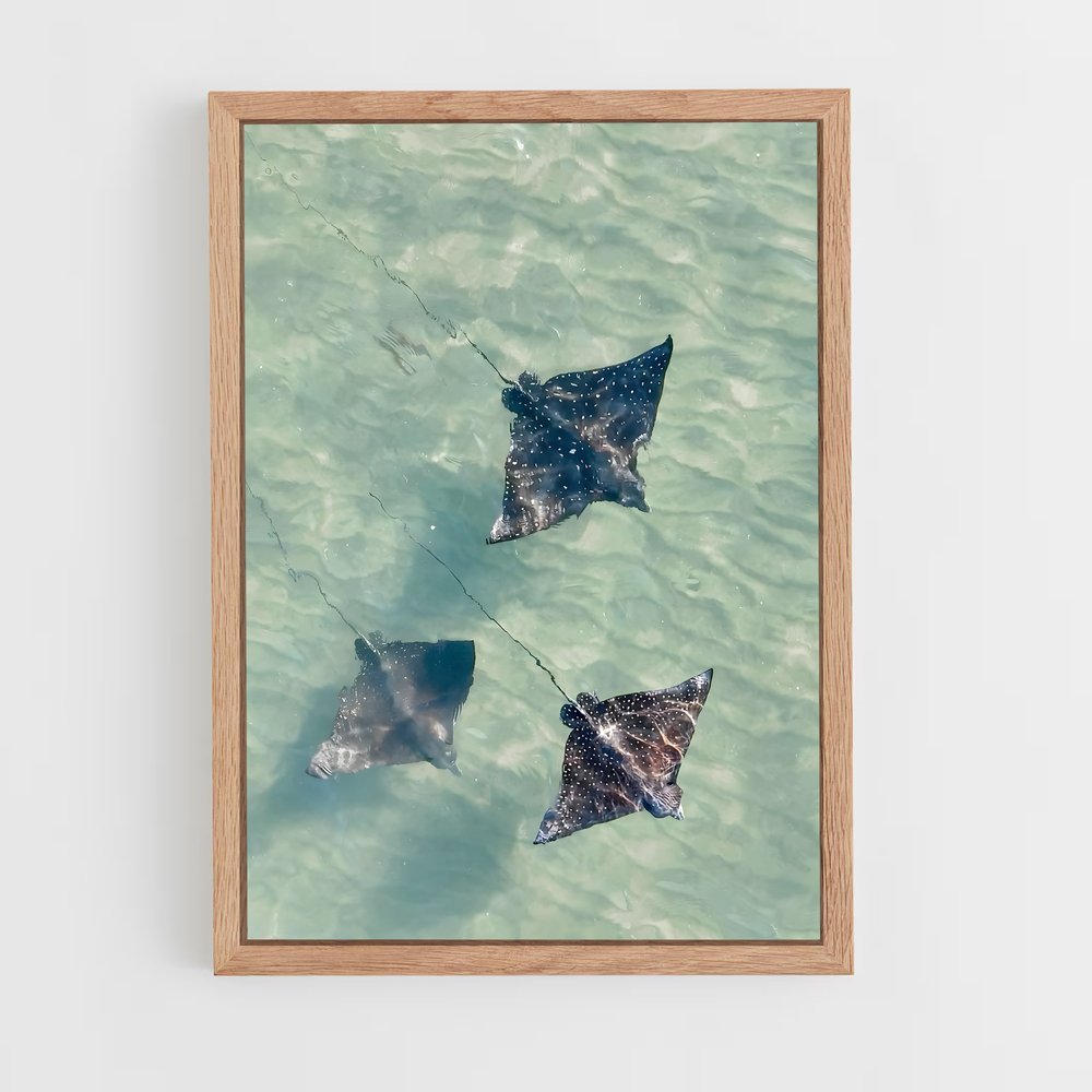ap-stingray-3 cadre Bois clair