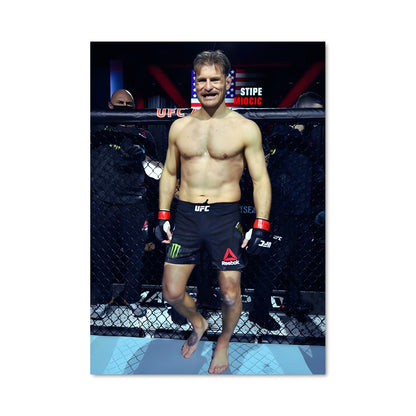 Poster Combat en Cage
