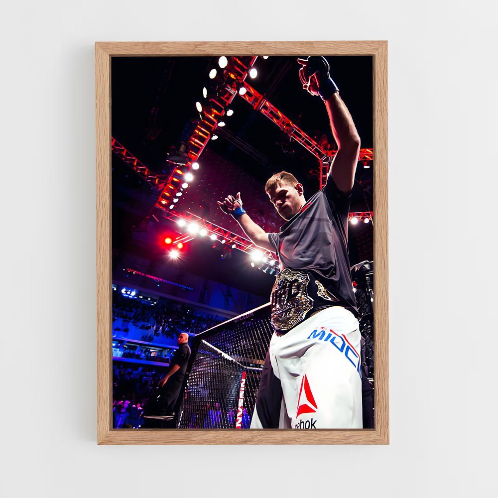 ap-stipe miocic-6 cadre Bois clair