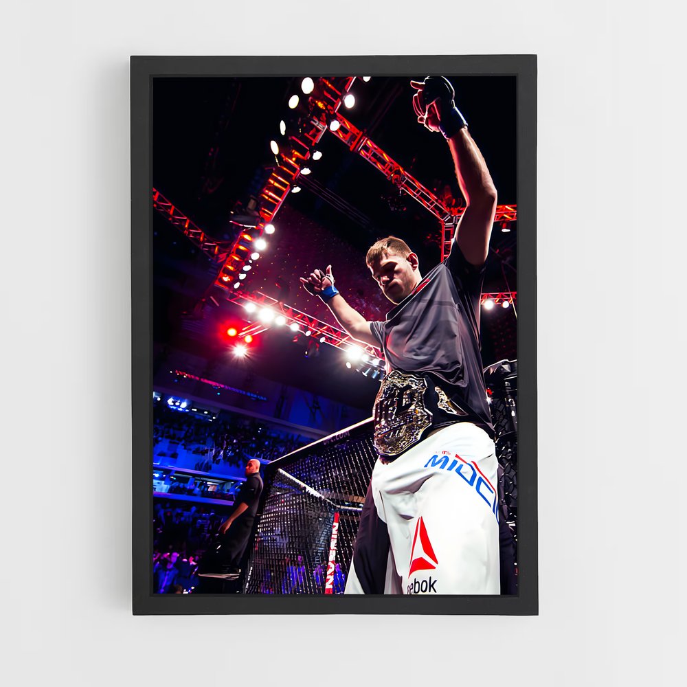 ap-stipe miocic-6 cadre Noir