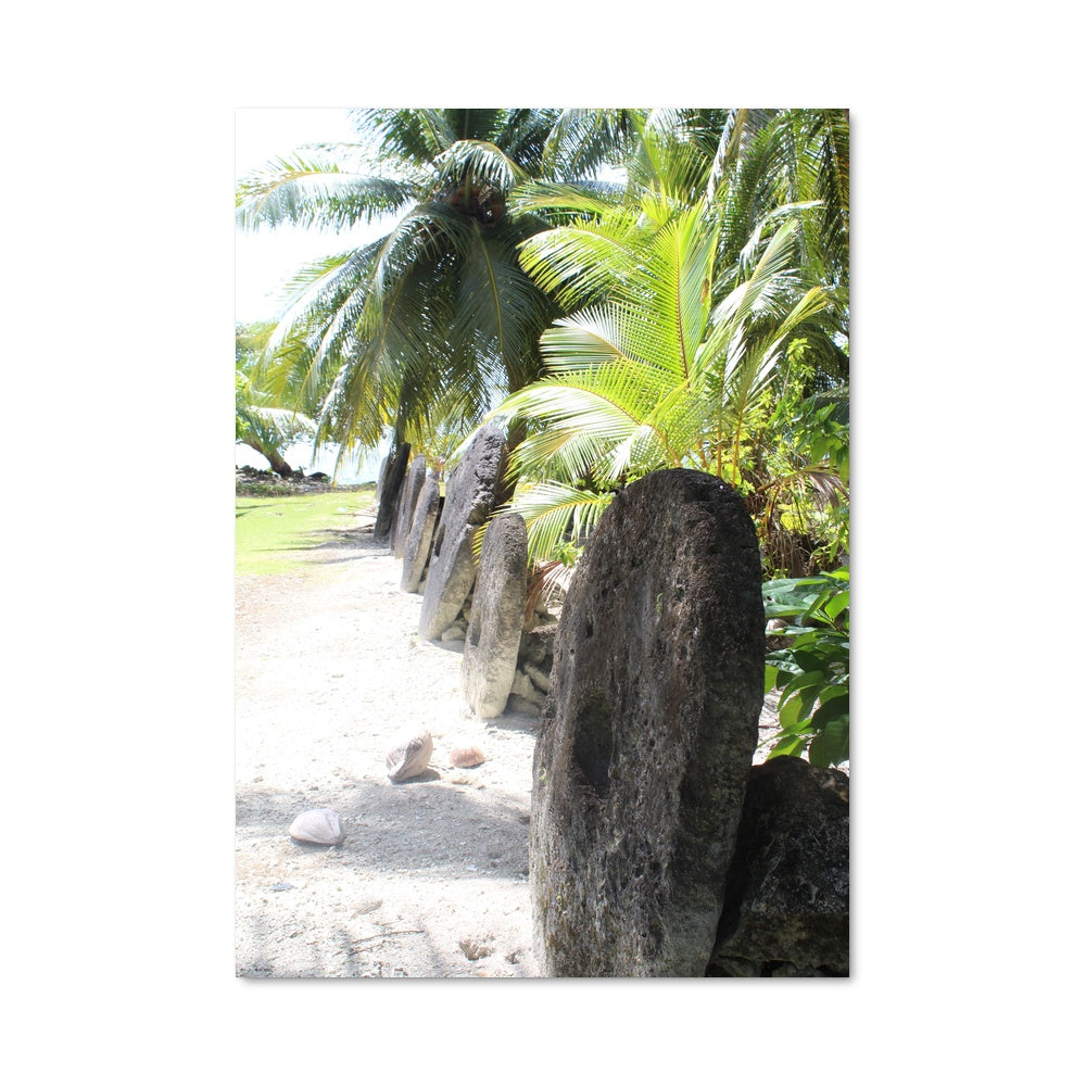 Poster Paradis Palmé