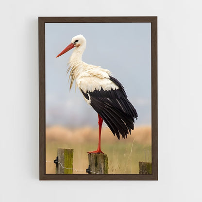 ap-stork-2 cadre Bois foncé