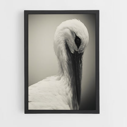 ap-stork-3 cadre Noir