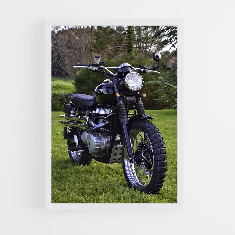 ap-street scrambler-5 cadre Blanc