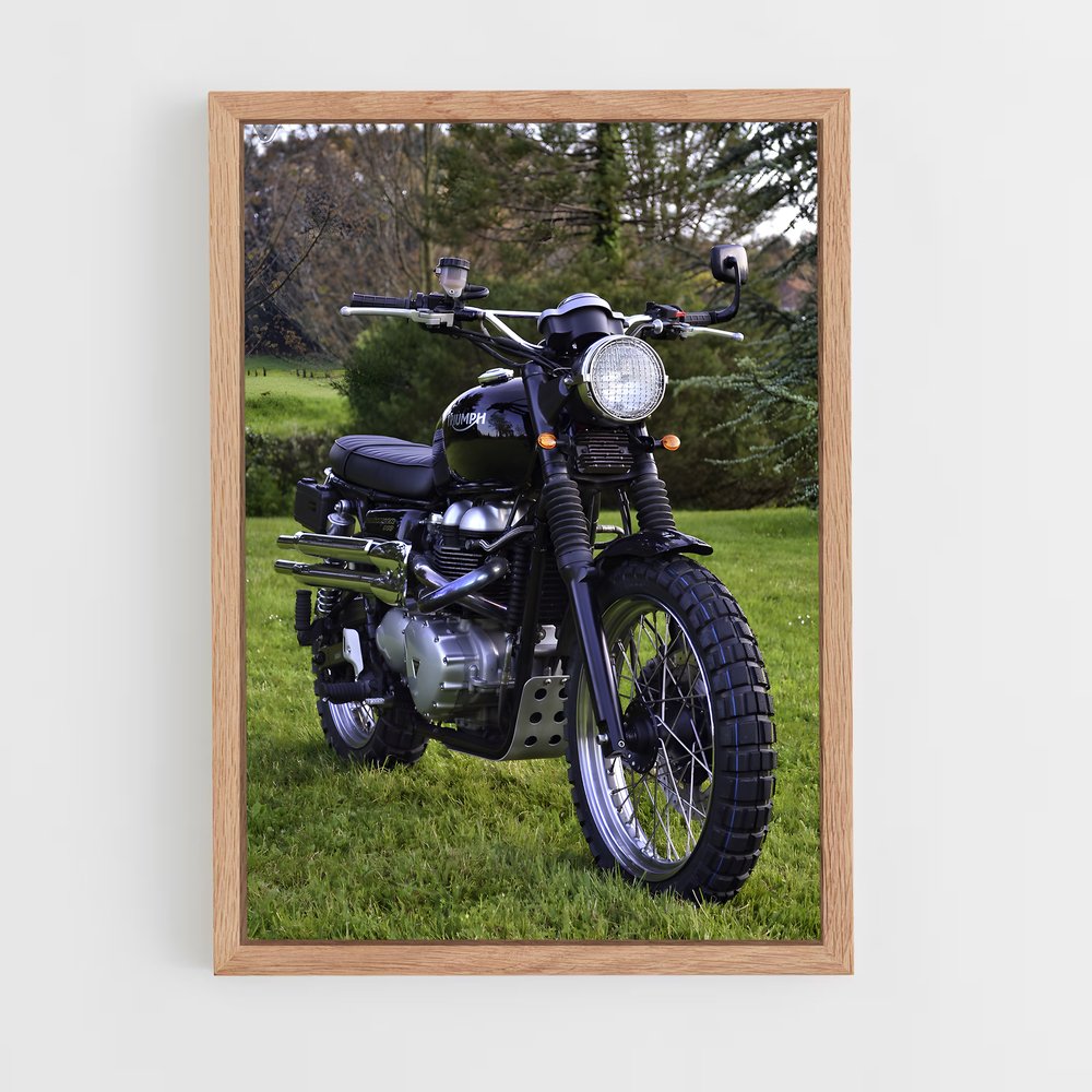 ap-street scrambler-5 cadre Bois clair