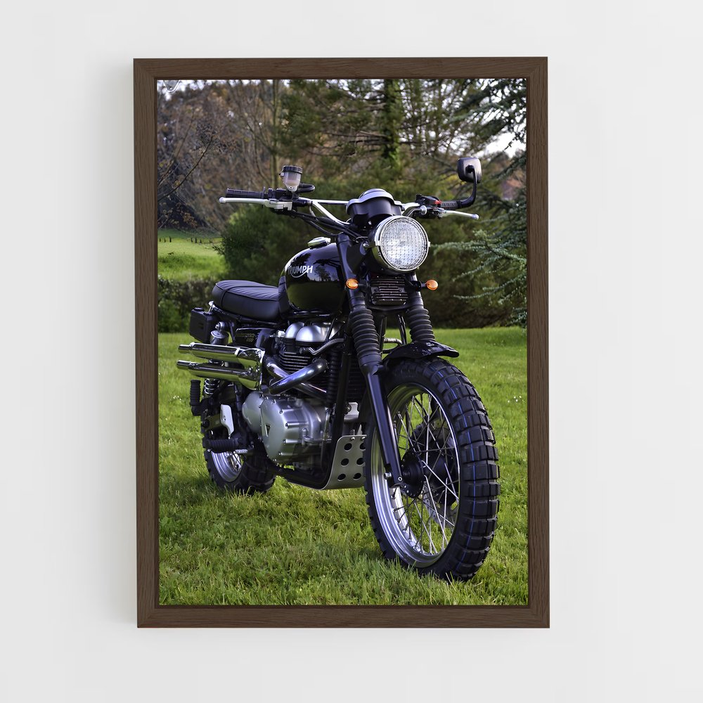 ap-street scrambler-5 cadre Bois foncé