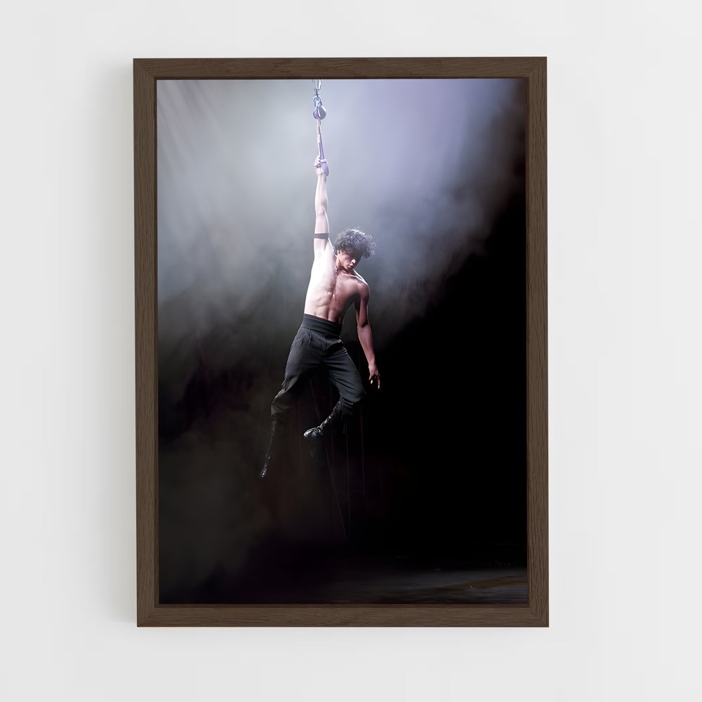ap-stunt performer-5 cadre Bois foncé