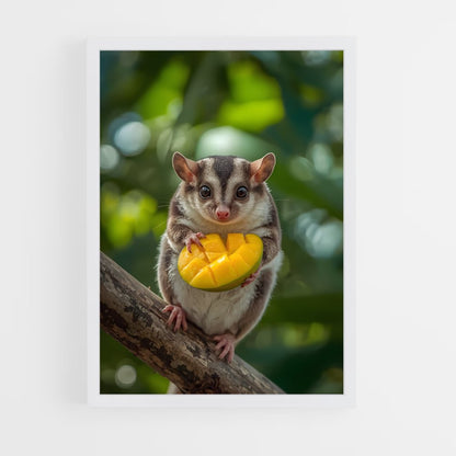 ap-sugar glider-2 cadre Blanc