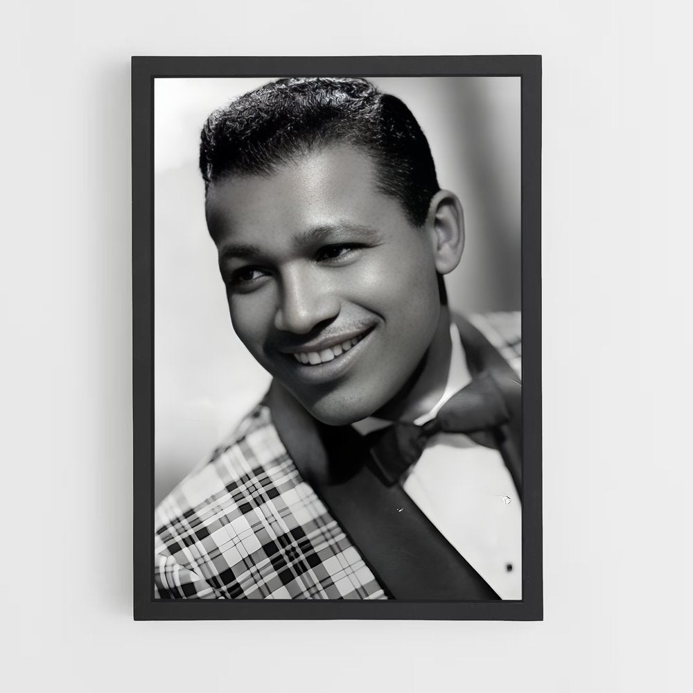 ap-sugar ray robinson-2 cadre Noir