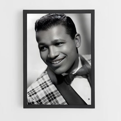 ap-sugar ray robinson-2 cadre Noir