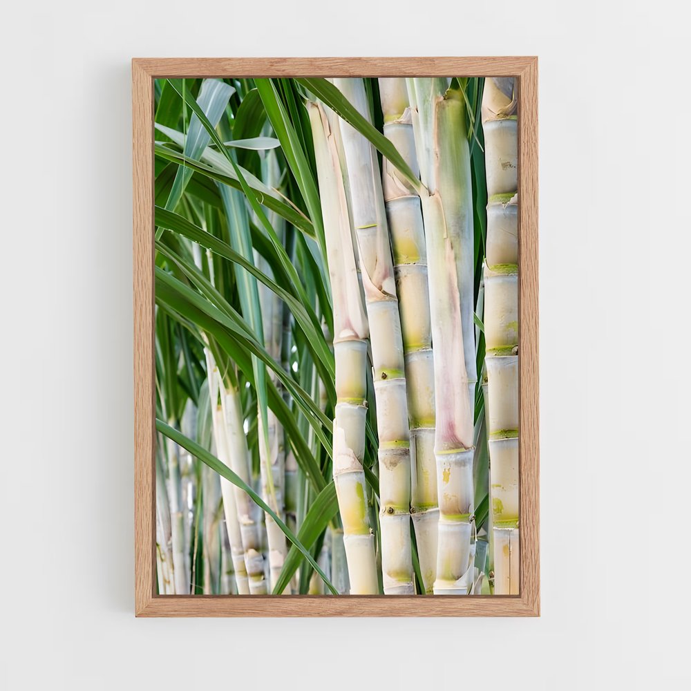 ap-sugarcane-6 cadre Bois clair