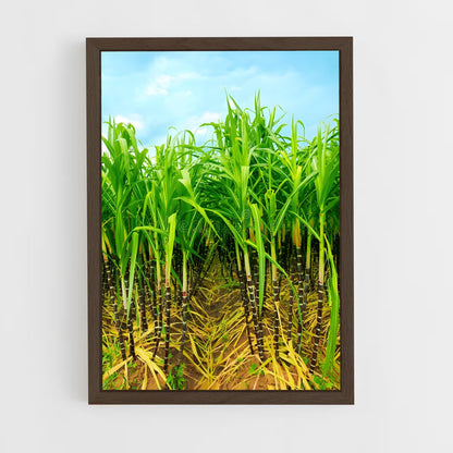 ap-sugarcane-8 cadre Bois foncé
