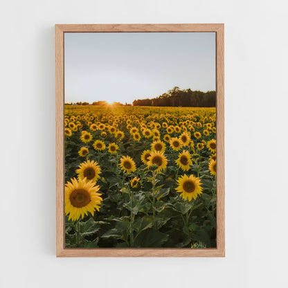 ap-sunflower-4 cadre Bois clair
