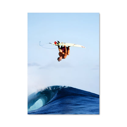Poster Surfing 75209