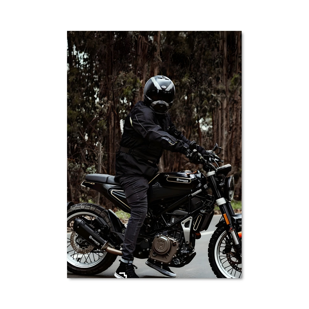 Poster Svartpilen 401 82345