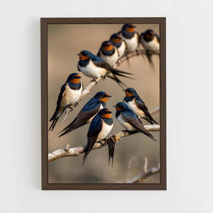 ap-swallow-8 cadre Bois foncé