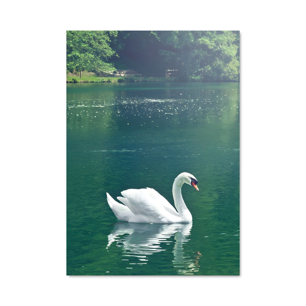 Poster Grâce des Lacs