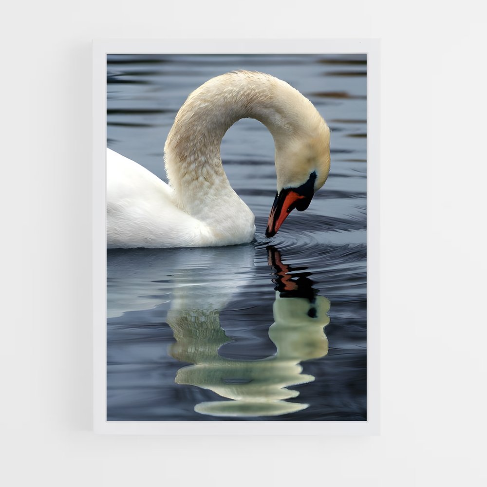 ap-swan-8 cadre Blanc