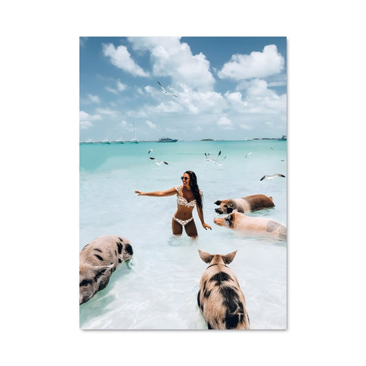 Poster Plage aux Cochons