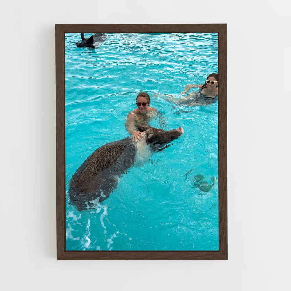 ap-swimming pigs beach-4 cadre Bois foncé
