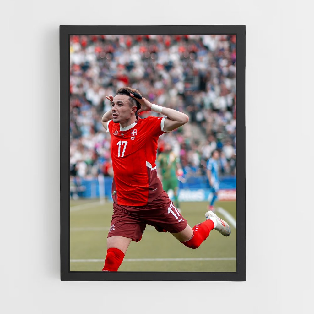 ap-switzerland national football team-4 cadre Noir