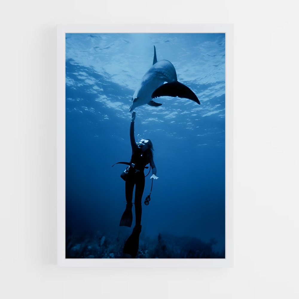 ap-sylvia earle-1 cadre Blanc