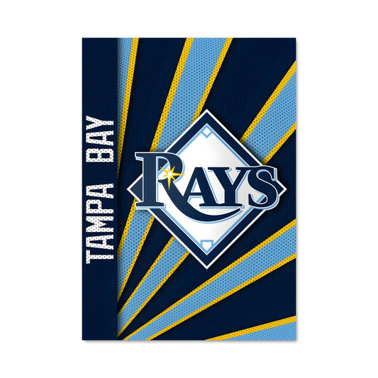 Poster Tampa bay rays 58644