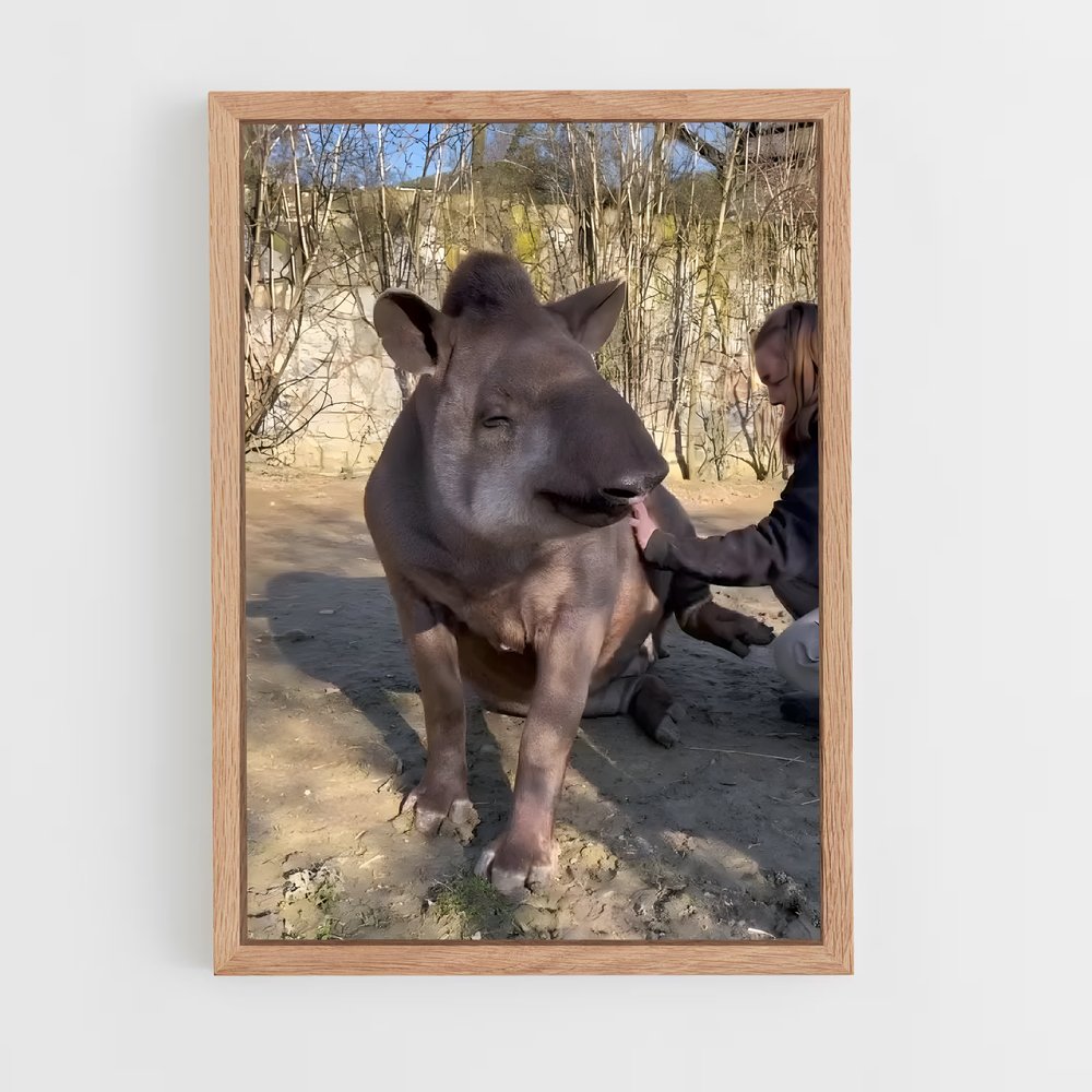 ap-tapir-2 cadre Bois clair