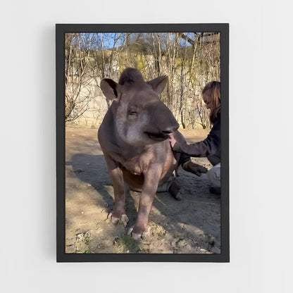 ap-tapir-2 cadre Noir