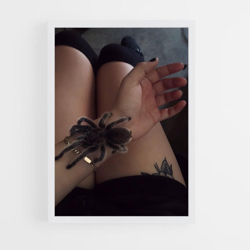 ap-tarantula-2 cadre Blanc