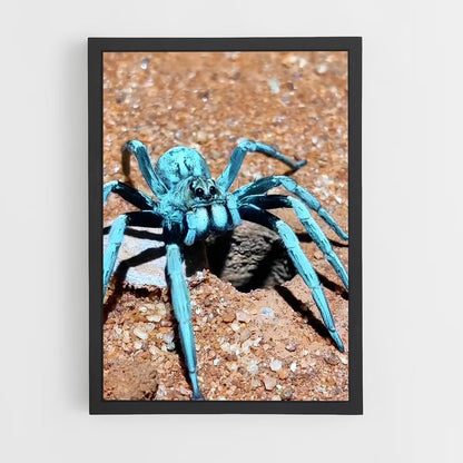 ap-tarantula-3 cadre Noir