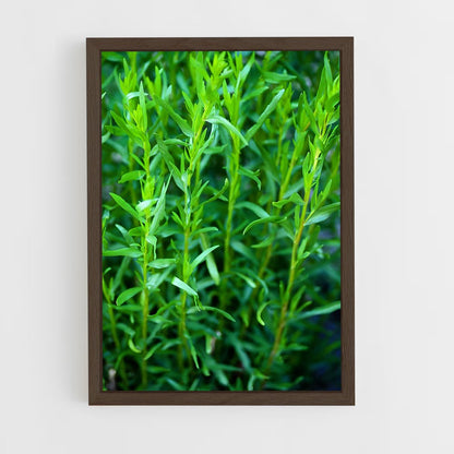 ap-tarragon-2 cadre Bois foncé