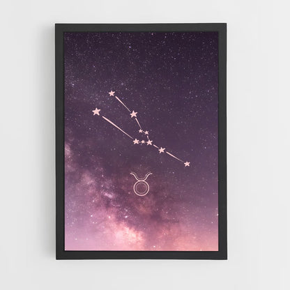 ap-taurus-3 cadre Noir
