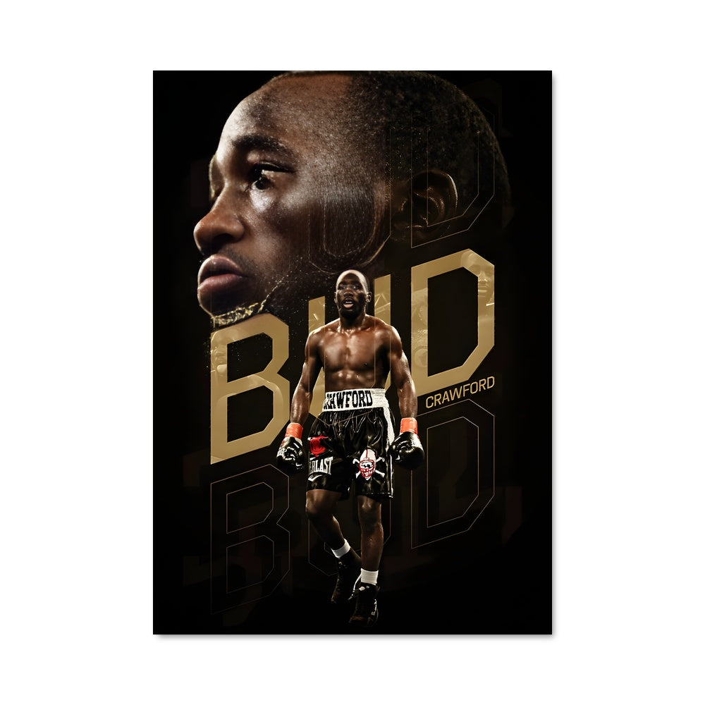 Poster Champion d'UFC