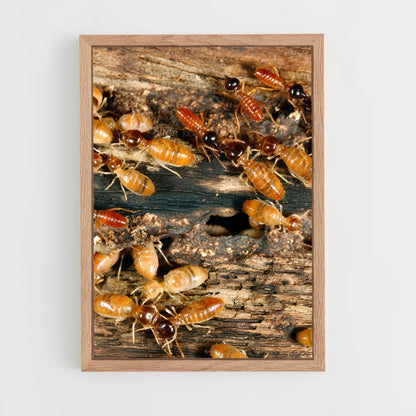 ap-termite-2 cadre Bois clair