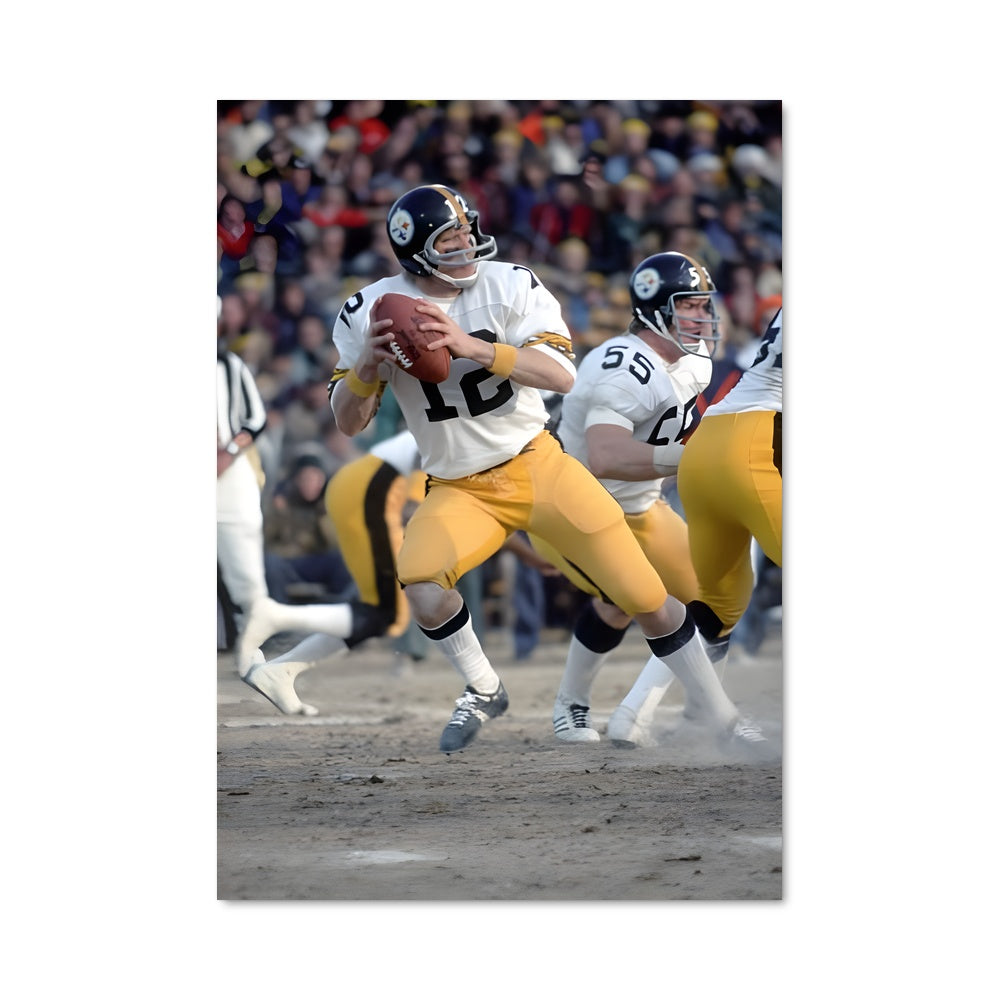 Poster Terry bradshaw 57752