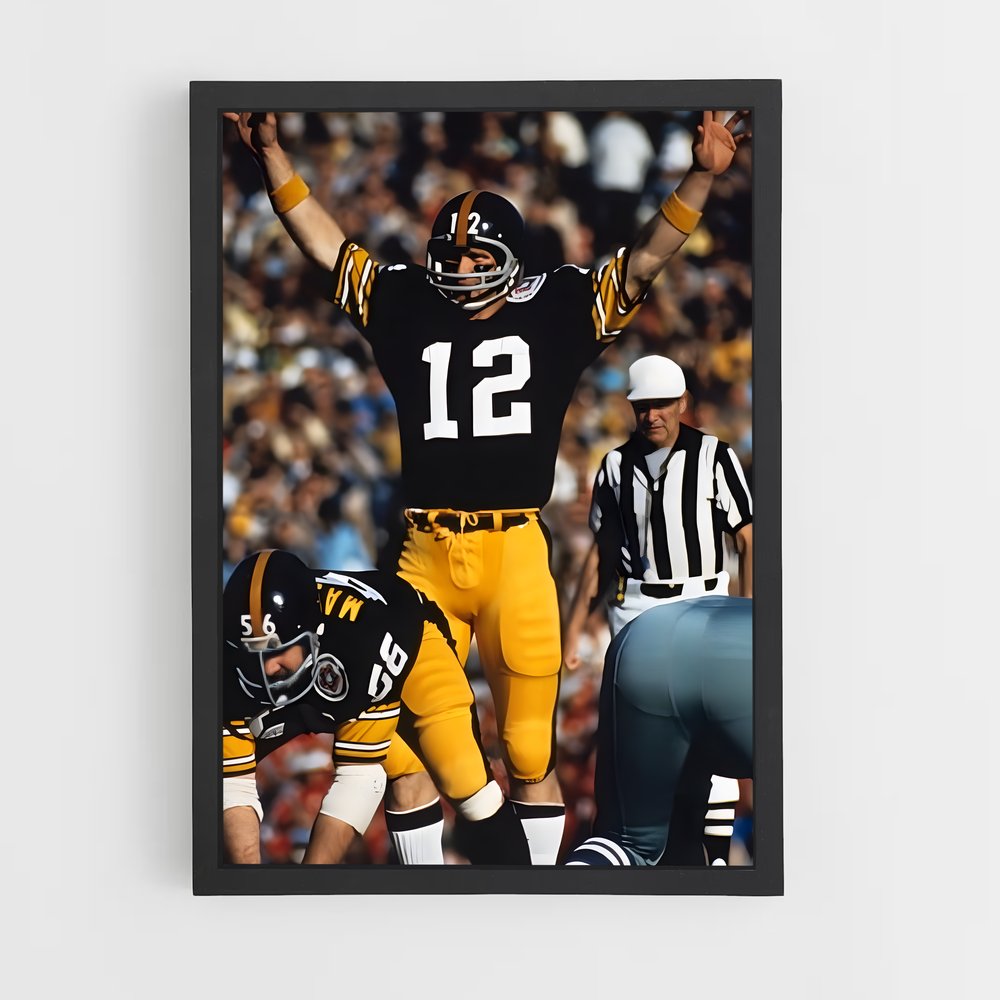 ap-terry bradshaw-1 cadre Noir