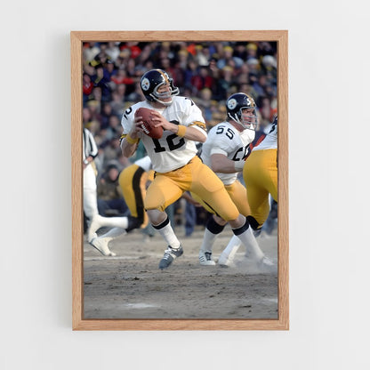 ap-terry bradshaw-4 cadre Bois clair