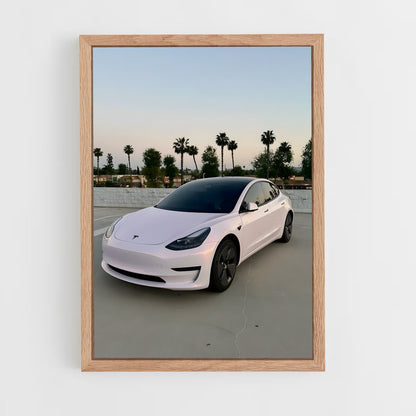 ap-tesla-1 cadre Bois clair