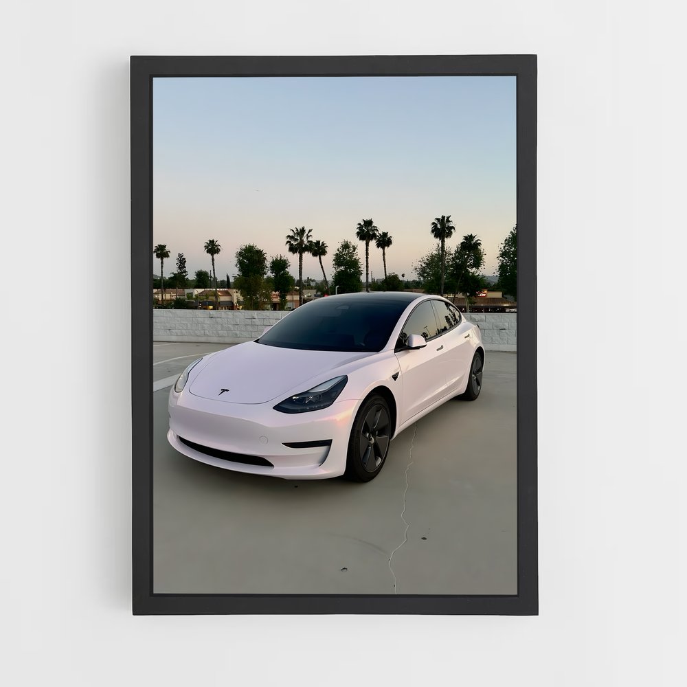 ap-tesla-1 cadre Noir
