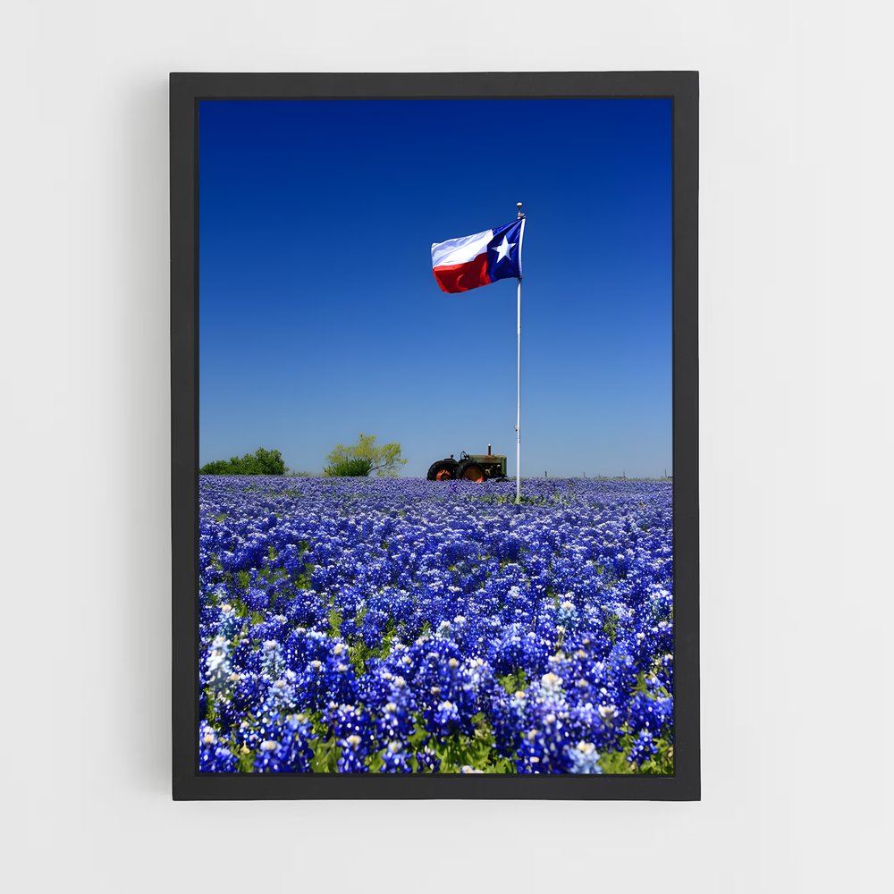 ap-texas flag-1 cadre Noir