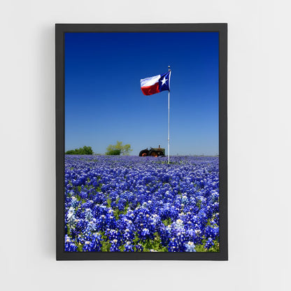 ap-texas flag-1 cadre Noir