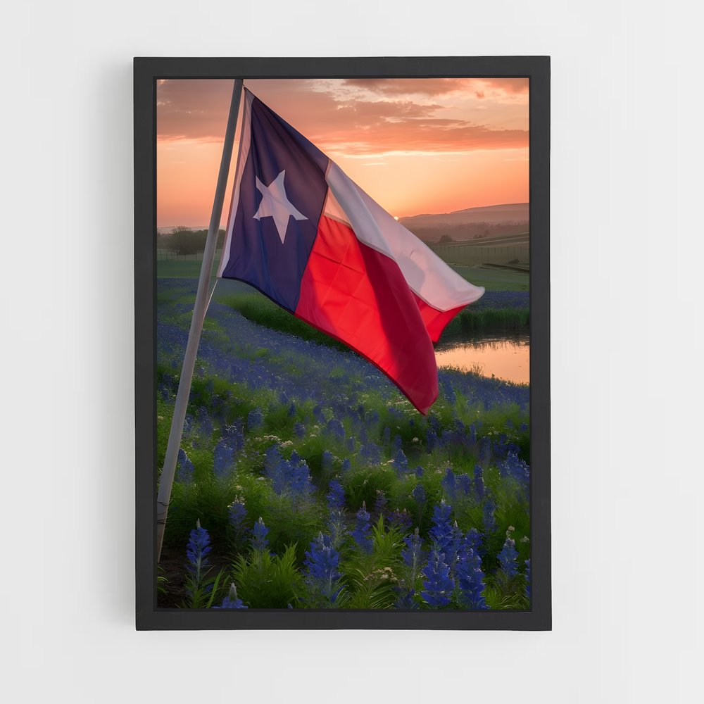 ap-texas flag-2 cadre Noir