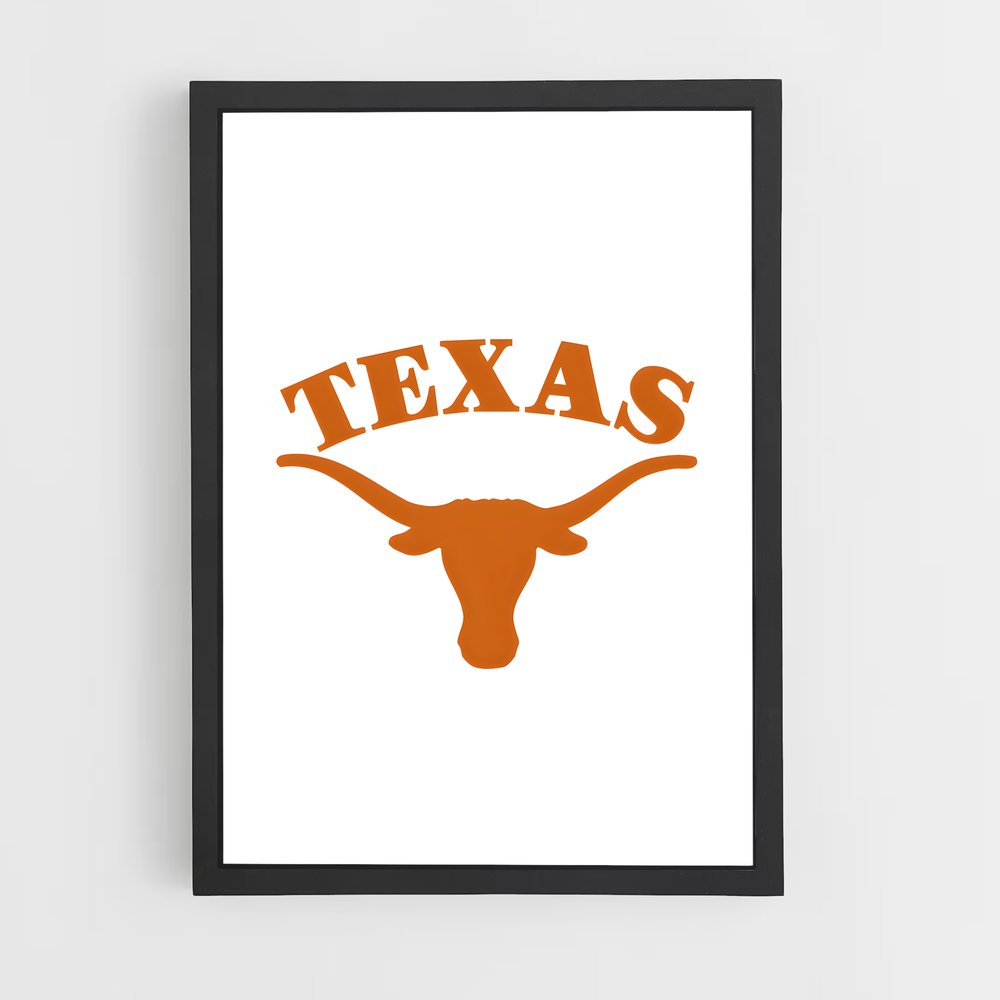 ap-texas longhorns-3 cadre Noir