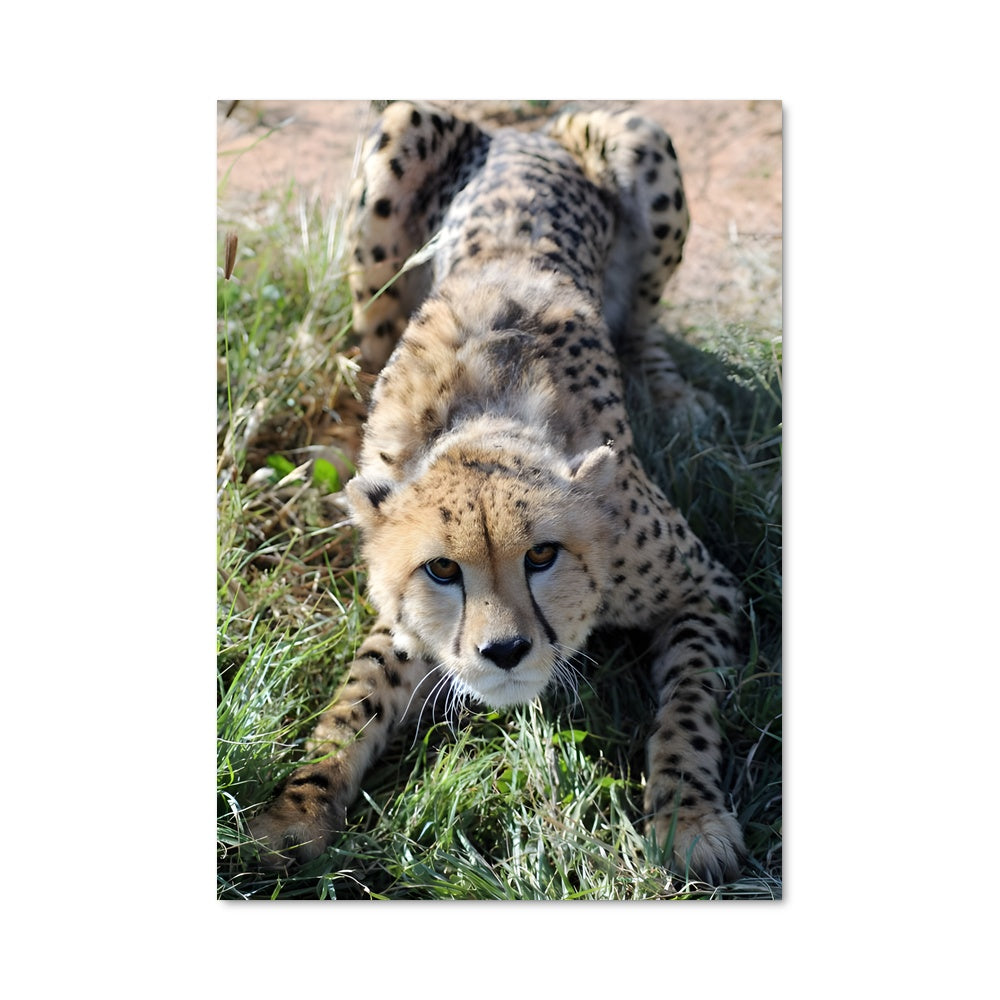 Poster Chemin de Teyateyaneng