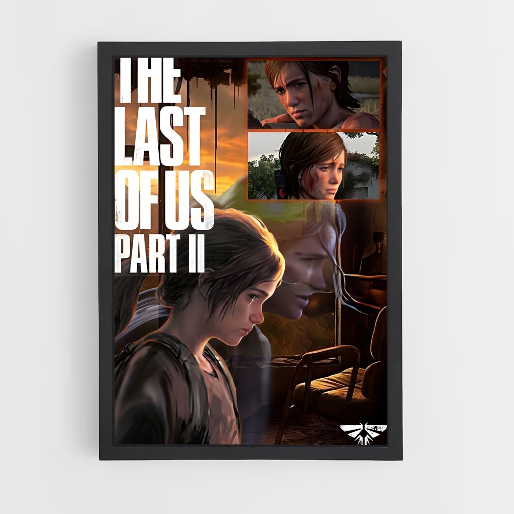 ap-the last of us-3 cadre Noir