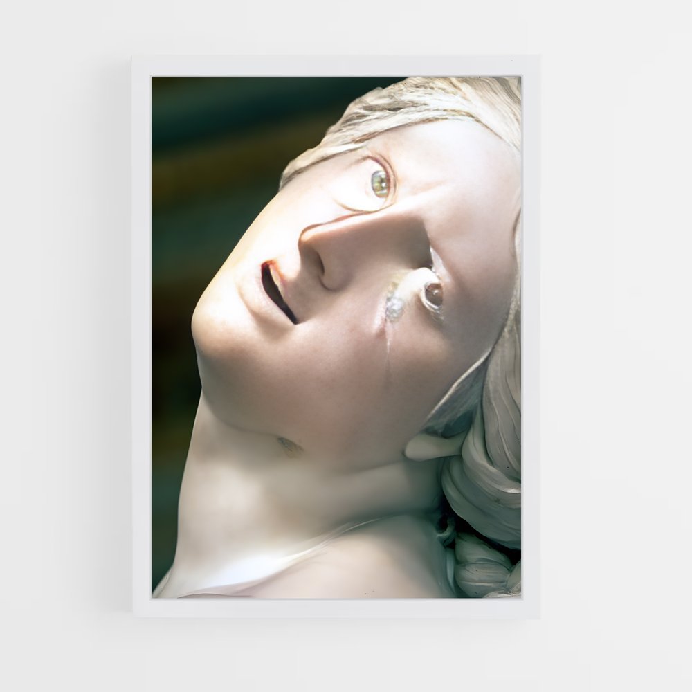 ap-the rape of proserpina bernini-2 cadre Blanc