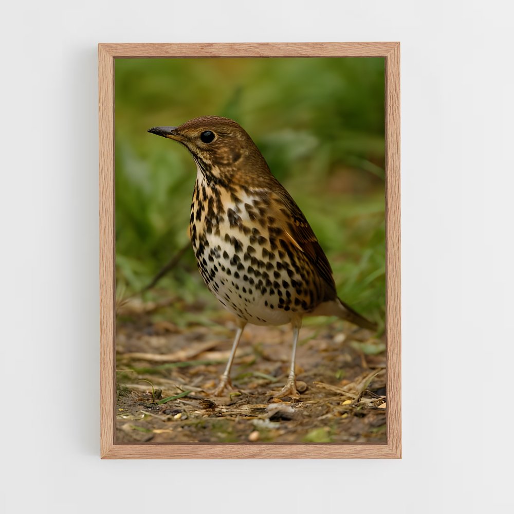 ap-thrush-2 cadre Bois clair